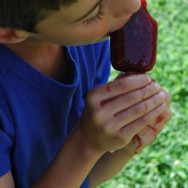 Popsicle Parent, Ice Pop Kid