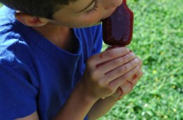 Popsicle Parent, Ice Pop Kid